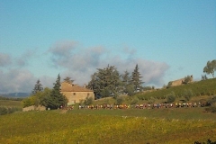 ecomaratona del chianti partenza dal castello di brolio 16 ottobre 2016 (25)