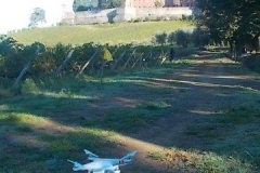 ecomaratona del chianti partenza dal castello di brolio 16 ottobre 2016 (5)