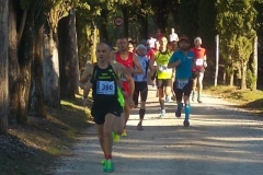ecomaratona del chianti partenza dal castello di brolio 16 ottobre 2016 (7)
