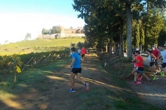 ecomaratona del chianti partenza dal castello di brolio 16 ottobre 2016 (8)