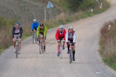 eroica mirco 11
