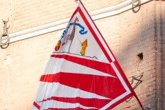 RBX_7551