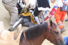 Giorno del palio (148)