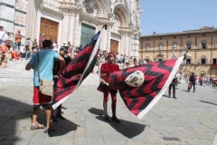 palio 2 luglio 2018 drago (28)