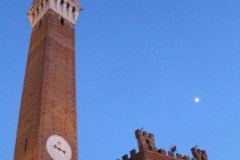 palio 2 luglio 2017 (2)