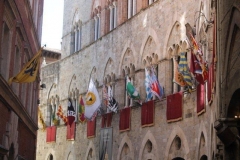 palio 2 luglio 2017 (6)