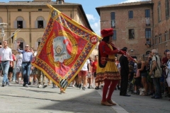 palio 16 agosto 2019 selva (19)