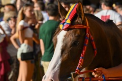 RBX_15-08-26_h18-15_0042-1800x1200