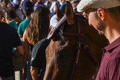 RBX_15-08-26_h18-27_0054-1800x1200