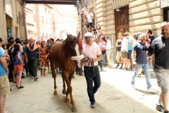 montone