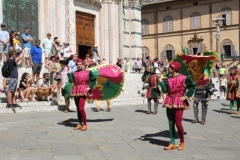 palio 2 luglio 2019 giraffa (35)