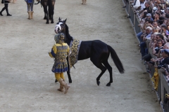 corsa palio (114)