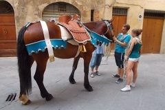 cavallo-dellonda1