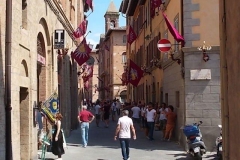 salicotto-in-attesa1