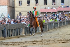 RBX_13-08-26_h19-12_0123-1800x1200