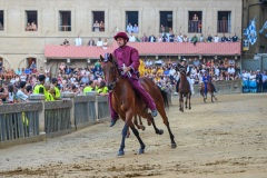 RBX_13-08-26_h19-12_0138-1800x1200