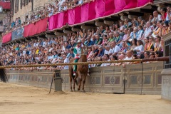 RBX_6593