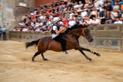 Chianti_11-08-26_h06-10_0009-1800x1200