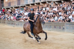 Chianti_11-08-26_h06-30_0019-1800x1200