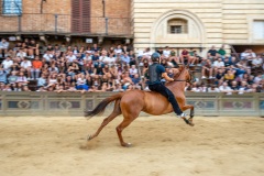 Chianti_11-08-26_h06-46_0028-1800x1200