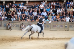 Chianti_11-08-26_h06-47_0029-1800x1200