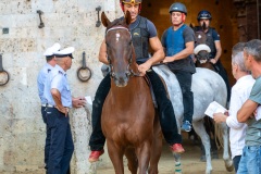 Chianti_11-08-26_h07-07_0036-1800x1200
