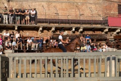 Chianti_11-08-26_h07-27_0044-1800x1200