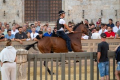 Chianti_11-08-26_h07-28_0045-1800x1200