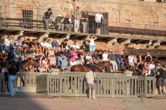 Chianti_11-08-26_h07-32_0048-1800x1200