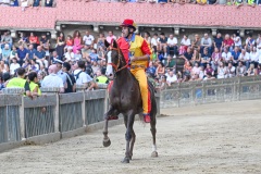 RBX_15-08-26_h19-29_0138-1800x1200