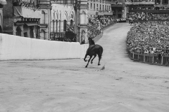 prova_generale-36