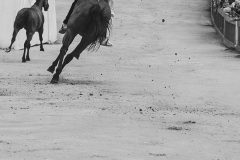 prova_generale-38