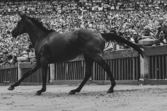 prova_generale-45