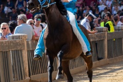 RBX_16-08-26_h09-02_0015-1800x1200
