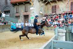 IMG-20250627-WA0033