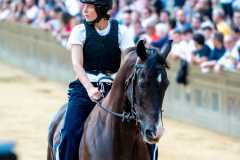 IMG-20250627-WA0036