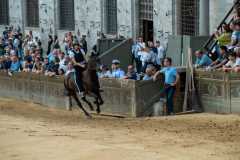 IMG-20250627-WA0037