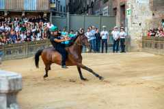 IMG-20250627-WA0052