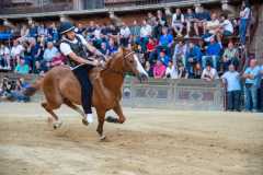 IMG-20250627-WA0056