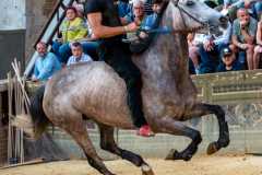 IMG-20250627-WA0057