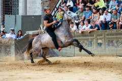 IMG-20250627-WA0064