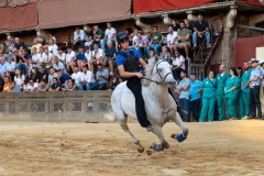 RBX_3384