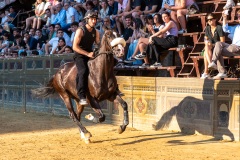 RBX_3897