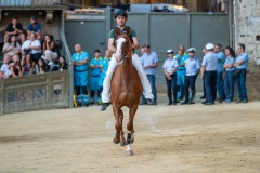 RBX_12-08-26_h06-04_0012-1800x1200
