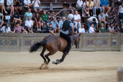 RBX_12-08-26_h06-42_0050-1800x1200