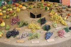 rural biodiversità agricola 2017 (41)