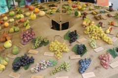 rural biodiversità agricola 2017 (42)