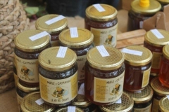 rural biodiversità agricola 2017 (47)