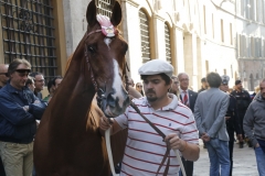 prima e seconda prova (115)