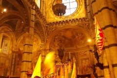 giubilo contrada selva
